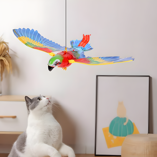 Uçan Papağan Kedi Oyuncağı